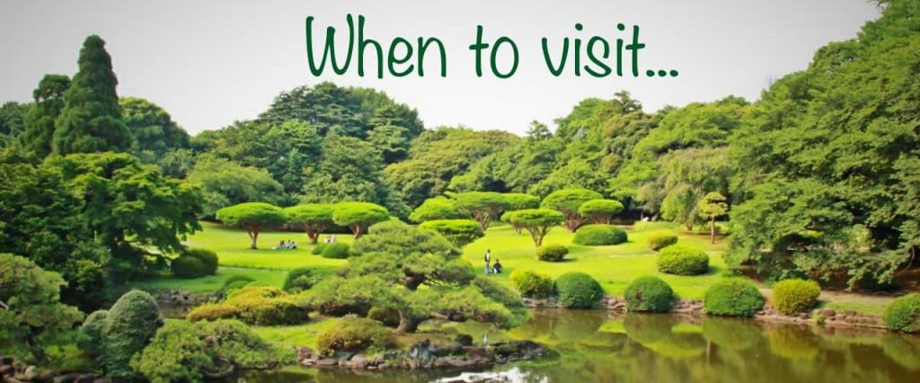 when to visit