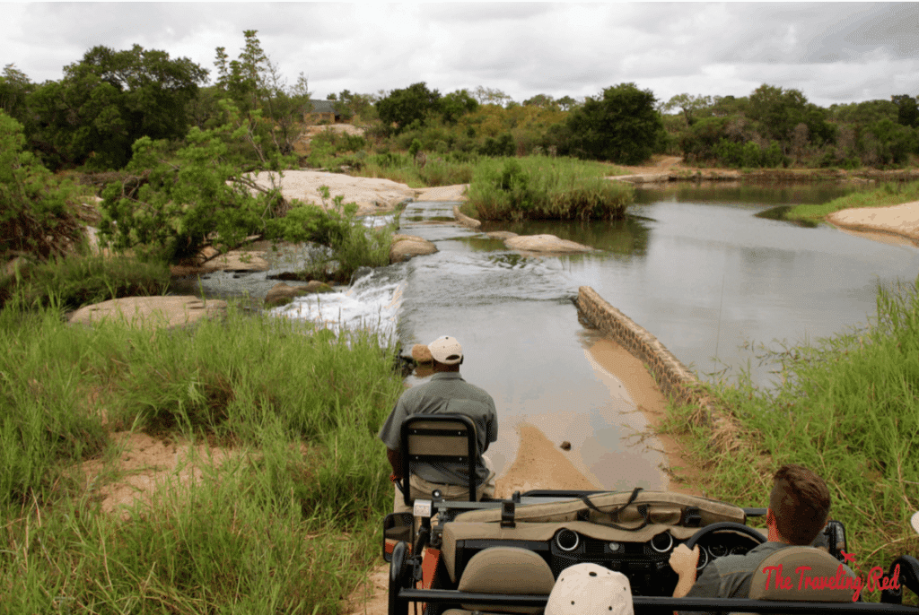 Game drive in South Africa. We did our safari in Sabi Sands and stayed at the Leopard Hills luxury resort.
