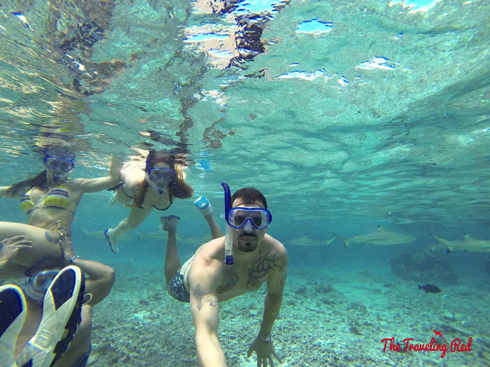 DCIM100GOPRO