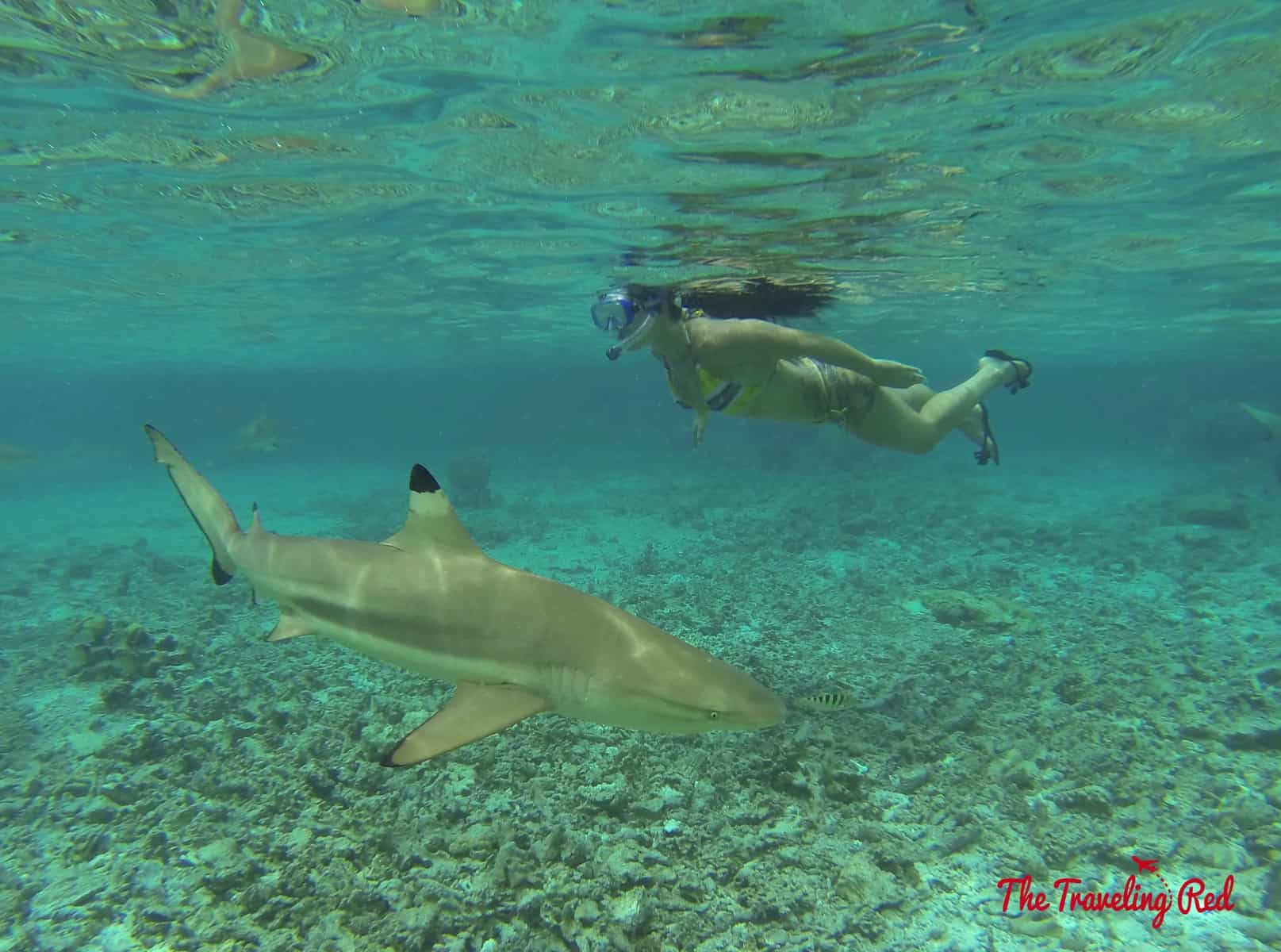 DCIM100GOPRO