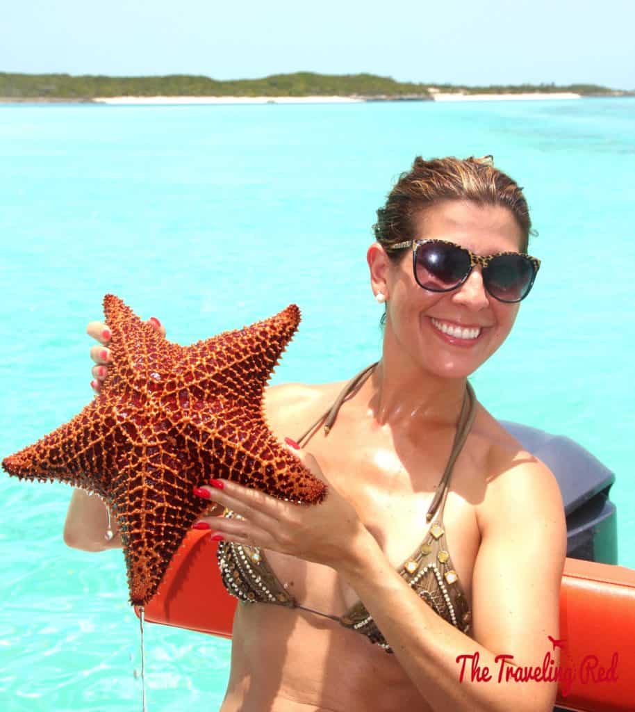 The Exumas are known for beautiful crystal clear water and tons of animals. If you do a boat tour, you'll find plenty of beautiful beaches and sandbar along the way. The water in Exuma is some of the most beautiful in the world. Definitely worth planning a trip to the Bahamas.