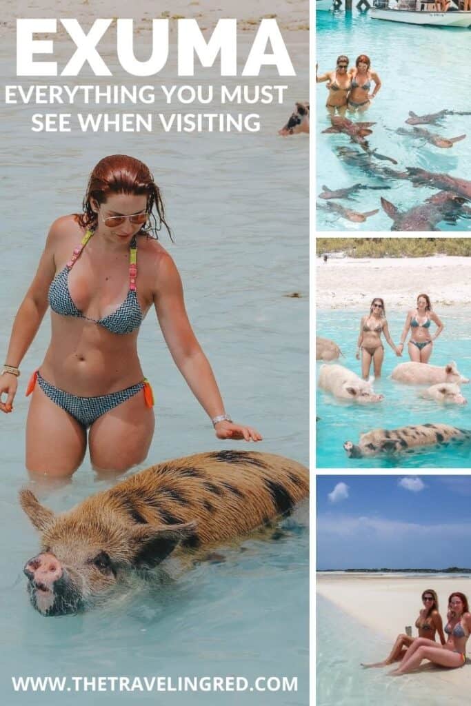 Everything you must see when visiting the Exumas. These islands in the Bahamas are famous for their crystal clear waters, swimming pigs, nurse sharks you can swim with and iguana island. Exuma is definitely a bucket list destination!