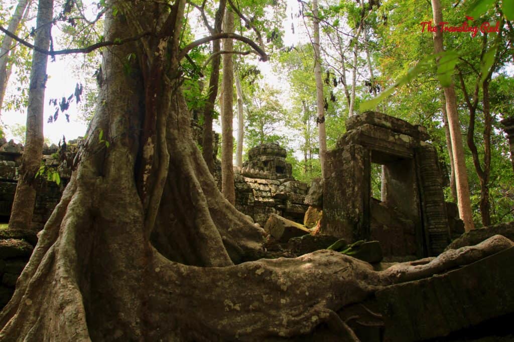 Touring the Temple Ta Nei | Cambodia Temples | Siem Reap | Angkor Wat | Angkor Passes | Photography Tour | Angkor Archeological Park | Ta Prohm | Tomb Raider | Banteay Kdei | Ta Nei | North Gate | Bayon | Wat Thmey | Monks | South Gate | Preah Khan #siemreap #angkorwat #cambodia