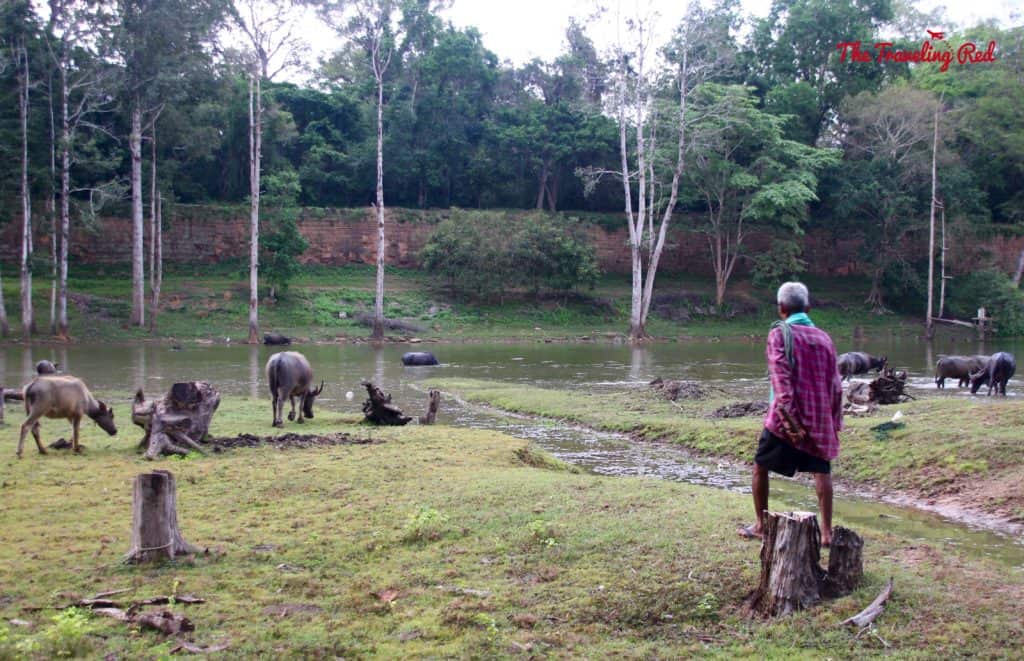 Touring the South Gate | Cambodia Temples | Siem Reap | Angkor Wat | Angkor Passes | Photography Tour | Angkor Archeological Park | Ta Prohm | Tomb Raider | Banteay Kdei | Ta Nei | North Gate | Bayon | Wat Thmey | Monks | South Gate | Preah Khan #siemreap #angkorwat #cambodia