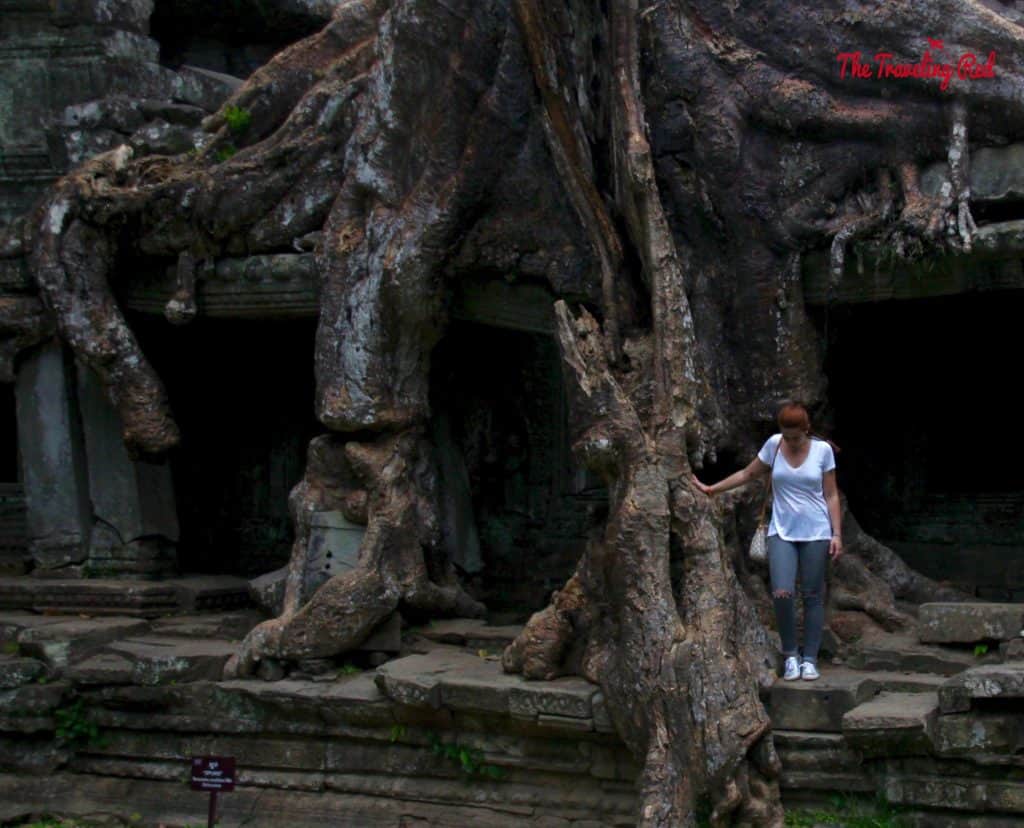 Touring the Preah Khan Temple | Cambodia Temples | Siem Reap | Angkor Wat | Angkor Passes | Photography Tour | Angkor Archeological Park | Ta Prohm | Tomb Raider | Banteay Kdei | Ta Nei | North Gate | Bayon | Wat Thmey | Monks | South Gate | Preah Khan #siemreap #angkorwat #cambodia