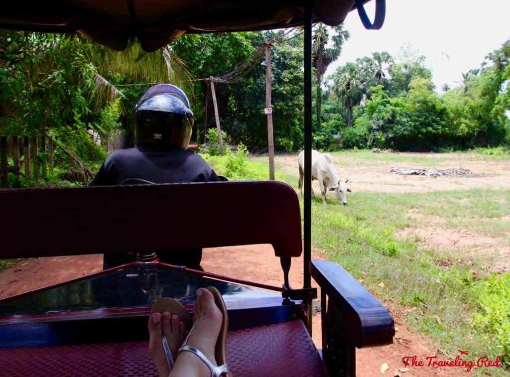Cooking Class in Cambodia, making curry | Things to See & Do in Siem Reap Cambodia | Golden Temple Residences | Cooking Class | Cambodian curry | Angkor Wat | Temple Tour | Pub Street | Il Forno | Genevieve | Malis #siemreap #cambodia #angkorwat