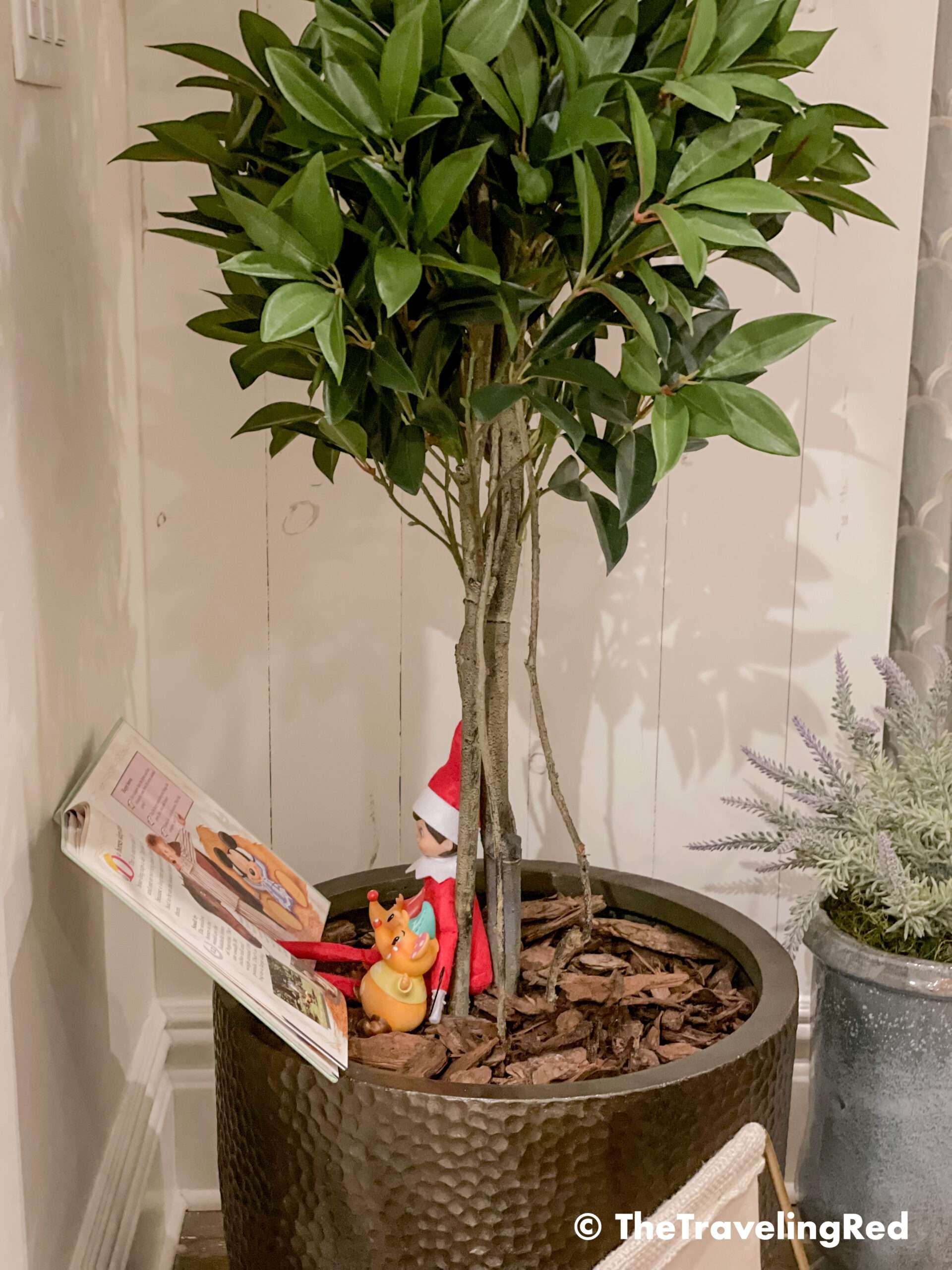 Naughty Elf on the shelf hid under a tree to read a book to some of the toys. Fun and easy elf on the shelf ideas for a naughty elf that are quick and easy using things you have at home.